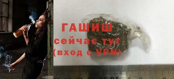 ECSTASY Горняк