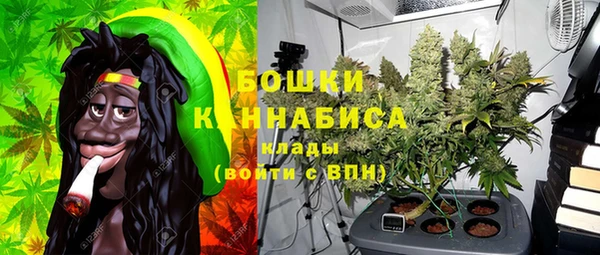 мдпв Горно-Алтайск