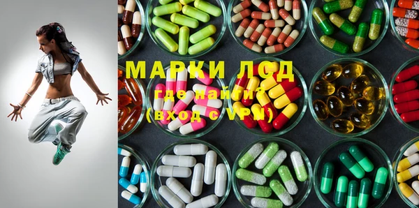 ECSTASY Горняк
