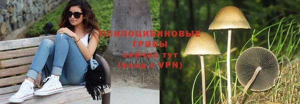 ECSTASY Горняк