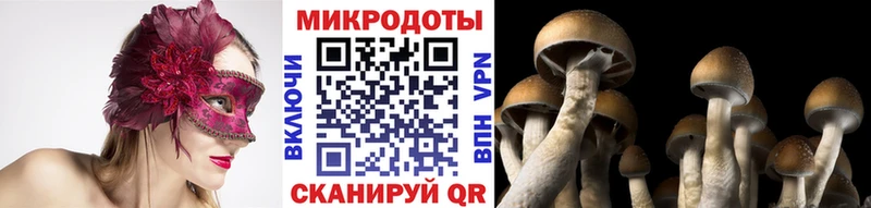 купить закладку  mega ONION  Галлюциногенные грибы Psilocybe  Нурлат 