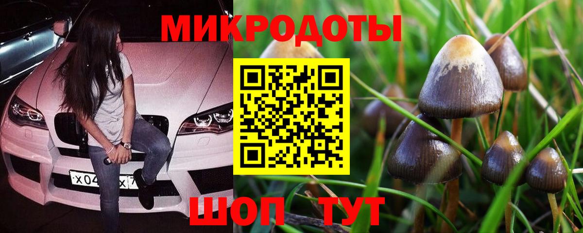 Галлюциногенные грибы GOLDEN TEACHER  Вход с VPN  Псилоцибиновые грибы GOLDEN TEACHER  Нурлат 