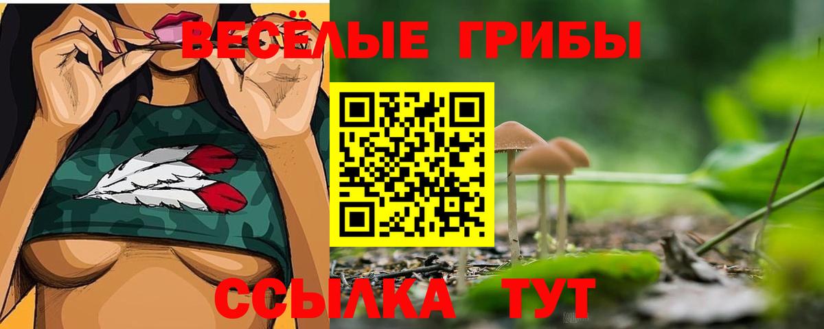 Галлюциногенные грибы Magic Shrooms Нурлат